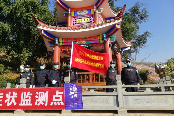 成立党员突击队照片