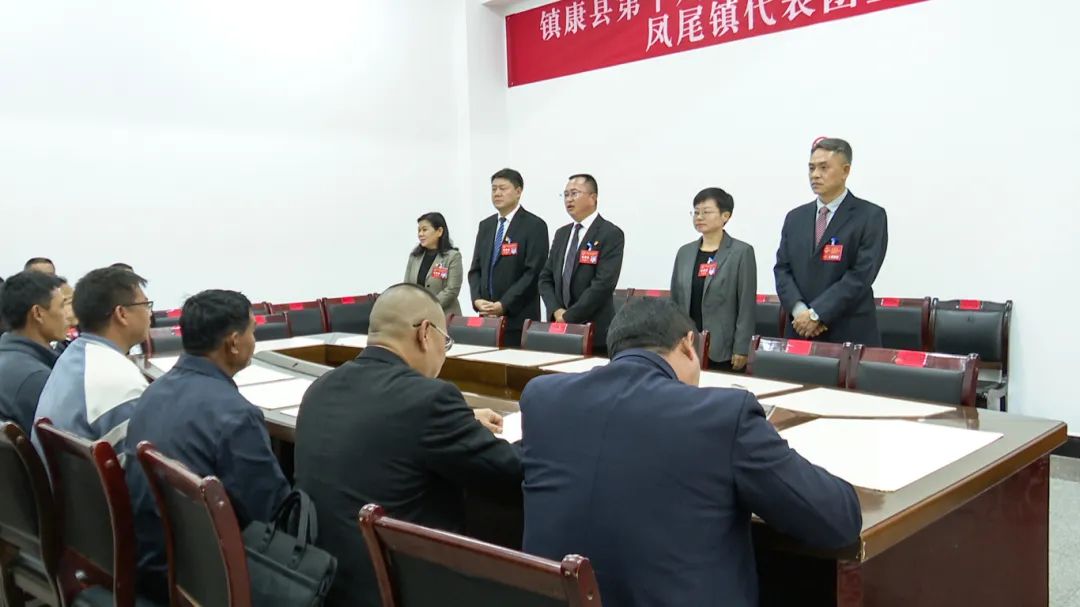 凤尾.jpg