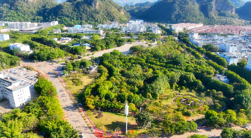 镇康：打造“绿美社区” 营造舒适生活办公环境