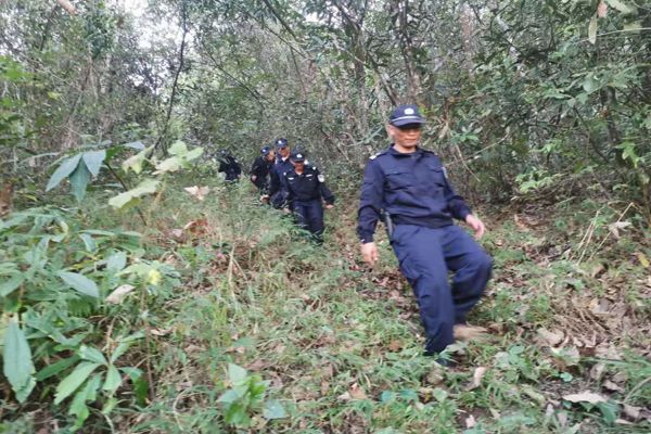 防火巡护