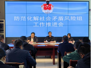 镇康县召开2024年市域社会治理现代化防范化解社会矛盾风险专项组工作推进会