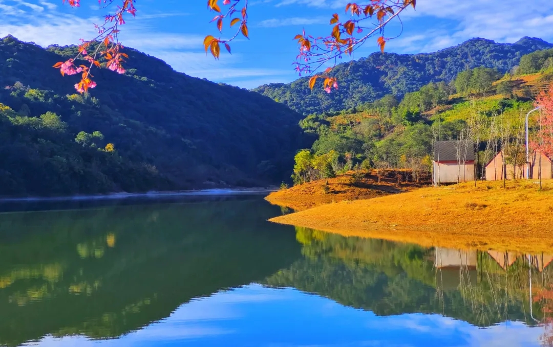 木场乡乡情概况