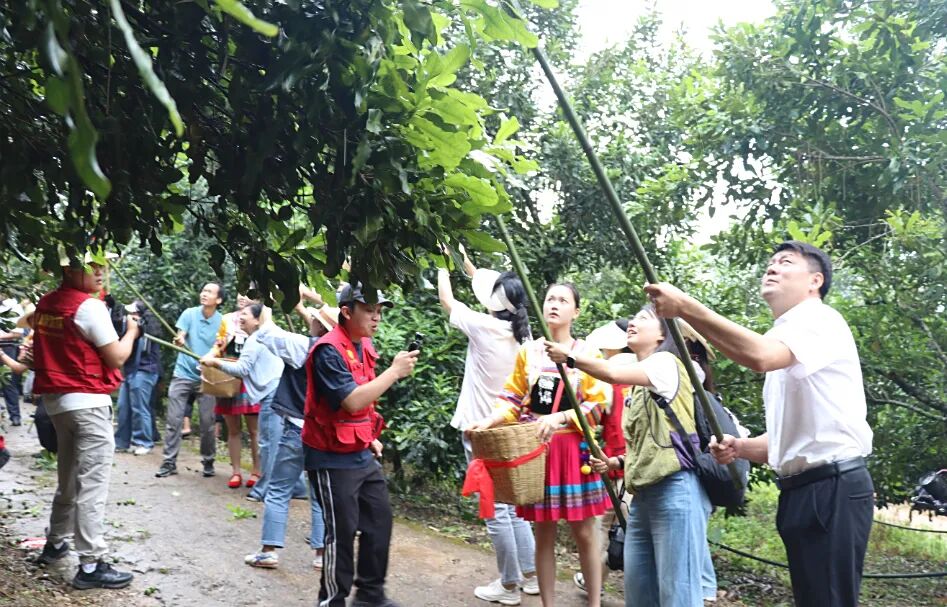 2025年临沧坚果节(领导)李丽君20250907 (49).JPG