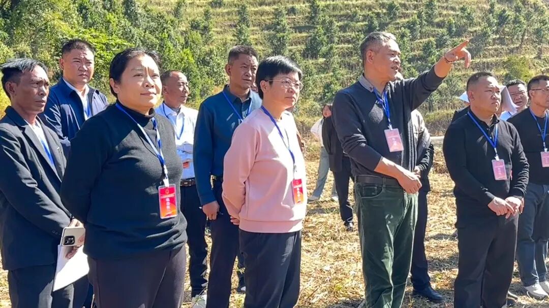 镇康县组织省市县人大代表集中视察高标准农田建设工作