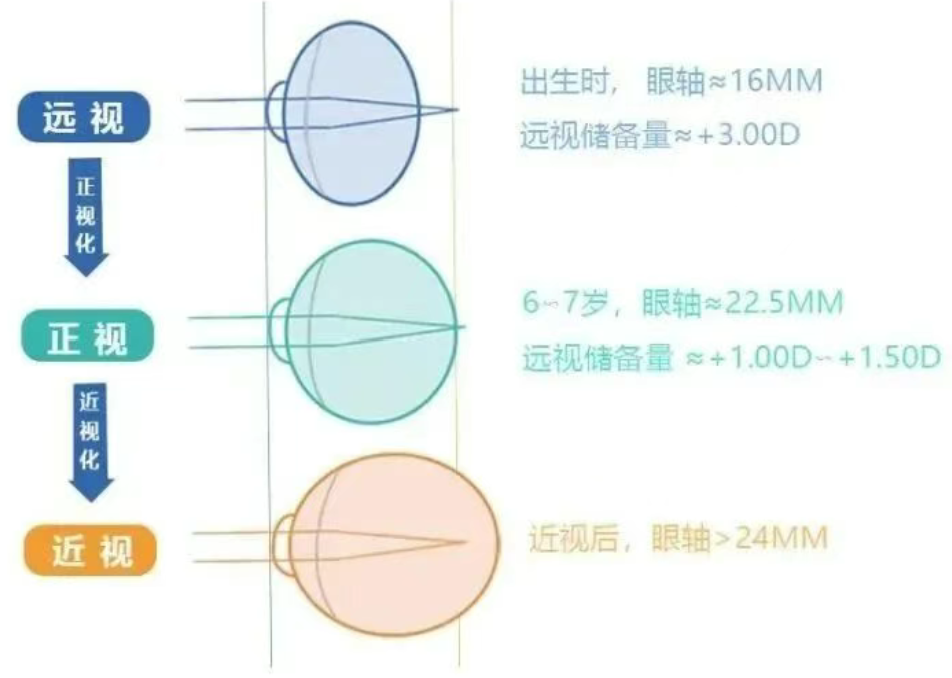 微信图片_2026-06-08_152028_501.png