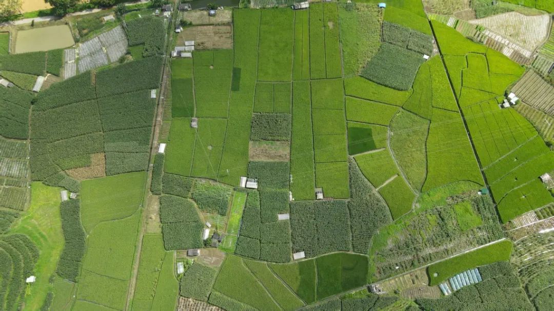 1755594121125064156.jpg f080063745e167c1ec40f9ffe384e0e1.jpg